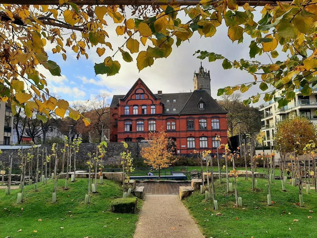 Back To School Apartment Andernach Luaran gambar